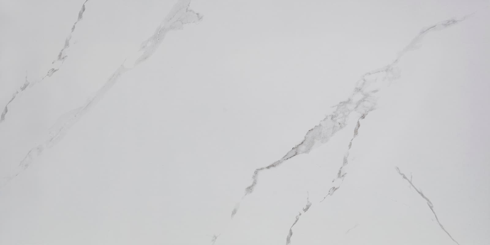 CARRARA BIANCO TILE 60x120 cm