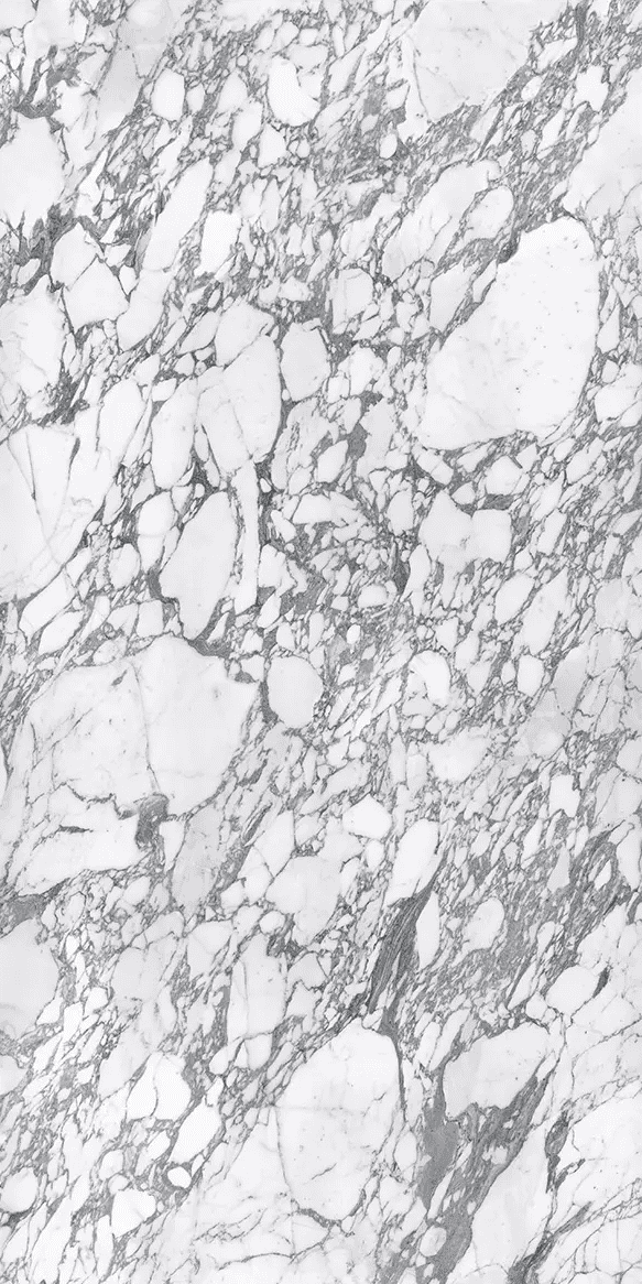 ARABESCATO CORCHIA PORCELAIN 162 x 322 x 1.2 cm
